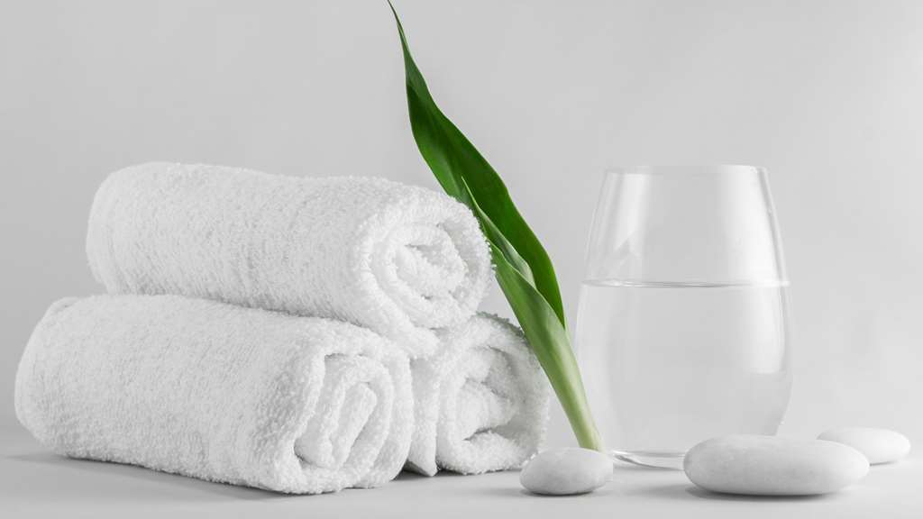 Magnuson Hotel Lawrenceville Rom bilde